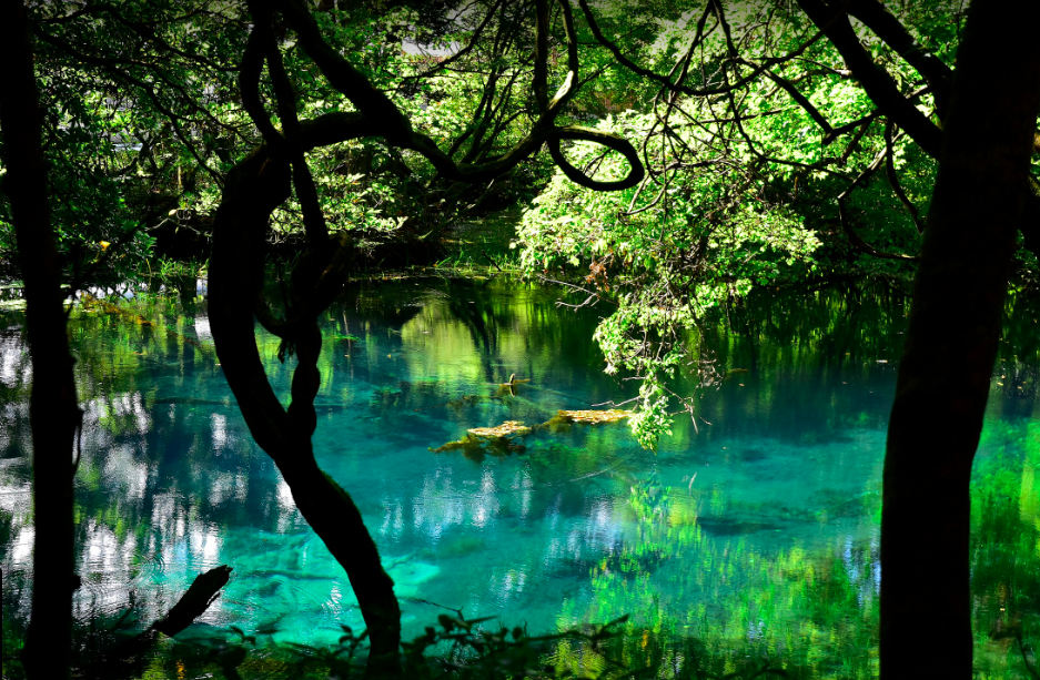 東北神秘の絶景スポット 青い色に輝く池３選 青池 青森 五色沼 福島 丸池様 山形 東北綺麗な泉 Forestlife