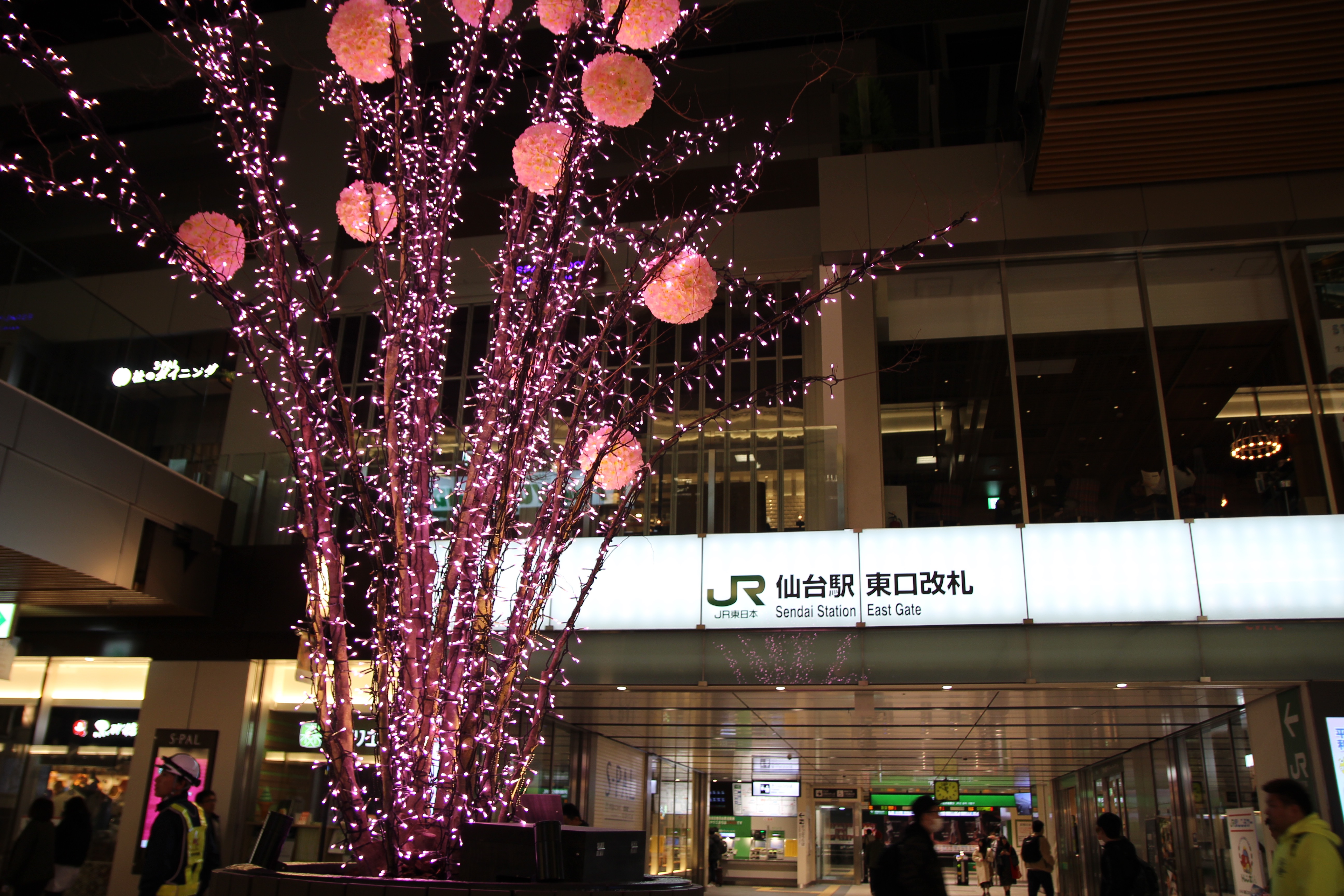 旅行やビジネスに 仙台駅周辺で気軽に立ち寄れる飲食店特集 Forestlife