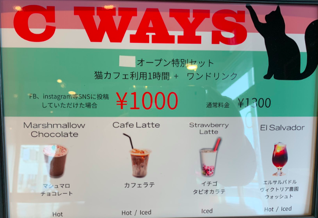 猫カフェ C Way S Cat Coffee シーウェイズキャットアンドコーヒー 青森県八戸市 新店舗情報