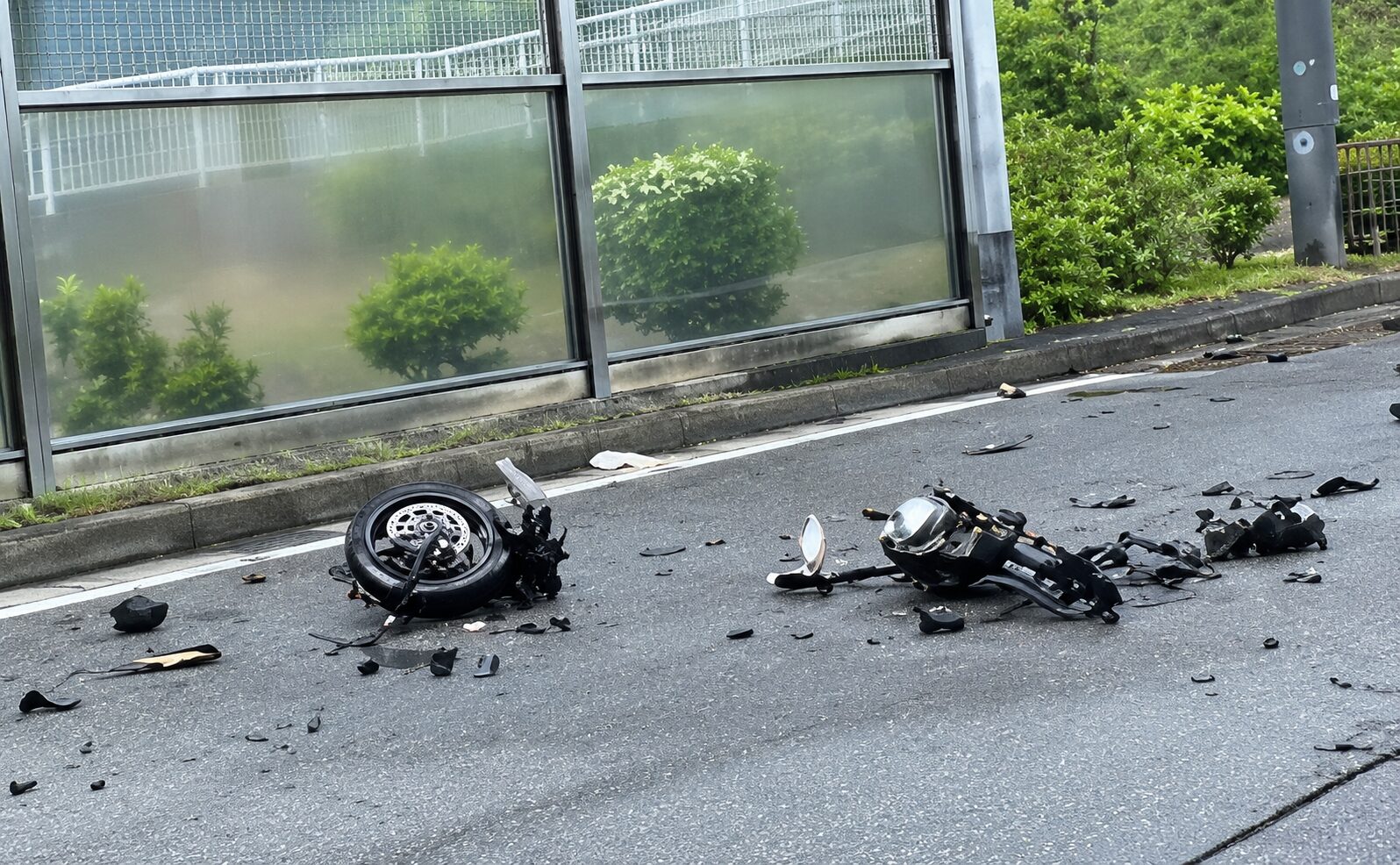 活動歴および当時の関連ビジュアル記録